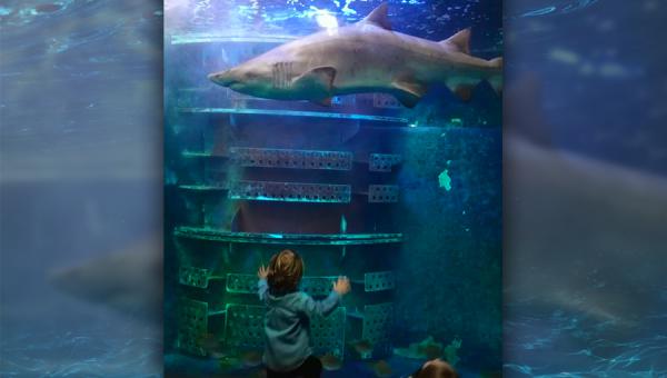 Journée à l'aquarium de St Malo